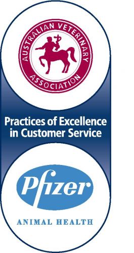 East Port Veterinary Hospital - Sydney Vets 13