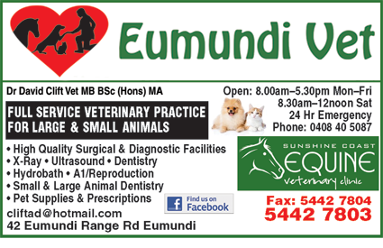 Eumundi Vet - Sydney Vets 4