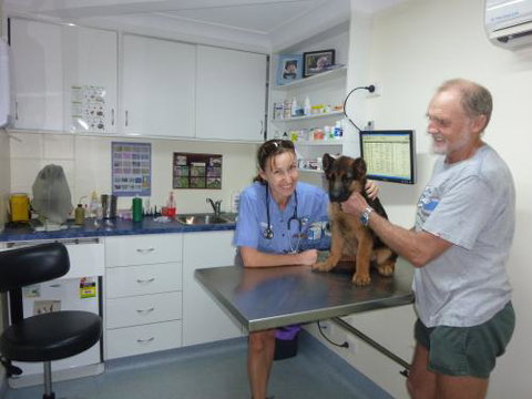 Faye McPherson - Sydney Vets 2