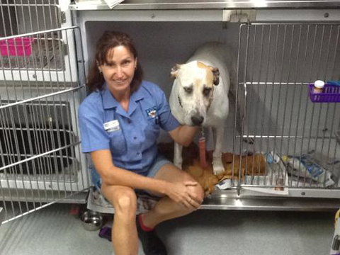 Faye McPherson - Sydney Vets 3