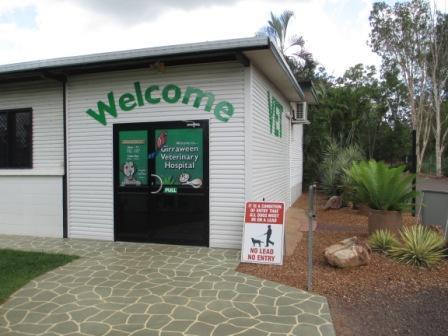 Girraween Veterinary Hospital - Sydney Vets 1