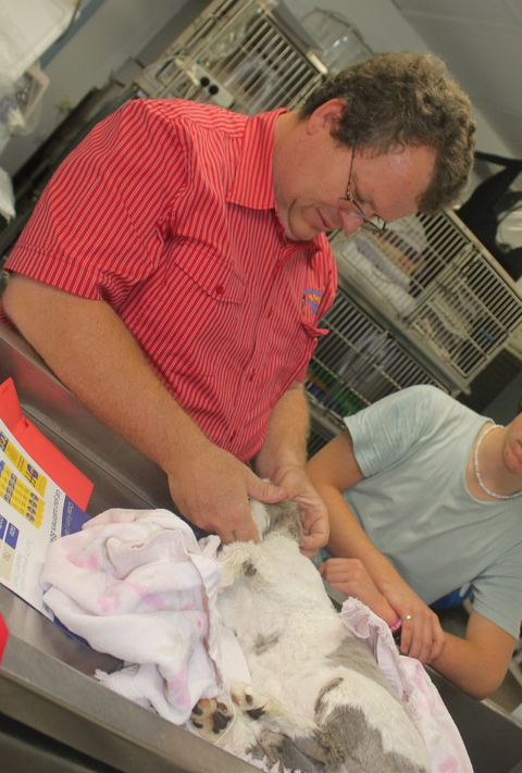 Goonoo Goonoo Road Veterinary Clinic - Sydney Vets 4