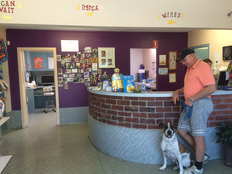 Goonoo Goonoo Road Veterinary Clinic - Sydney Vets 5