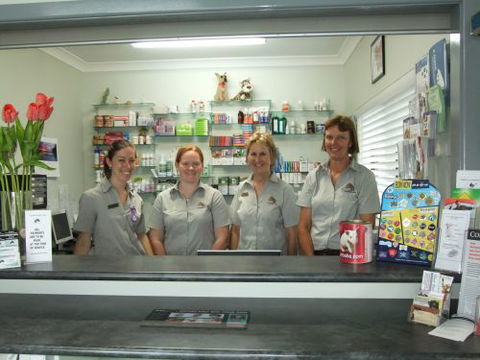 Grafton Veterinary Clinic - Sydney Vets 3