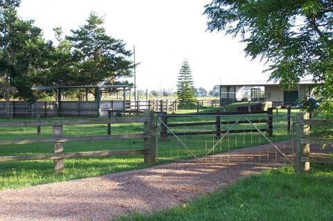Grafton Veterinary Clinic - Sydney Vets 4