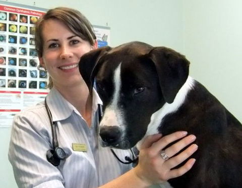 Grafton Veterinary Clinic - Sydney Vets 6