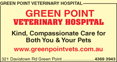 Green Point Veterinary Hospital - Sydney Vets 6