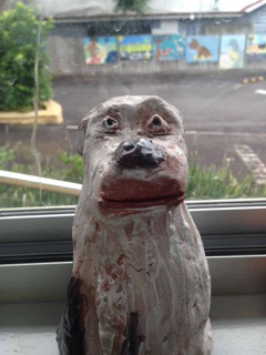 Green Point Veterinary Hospital - Sydney Vets 9