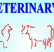 Gympie Veterinary Services - Sydney Vets