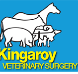 Kingaroy Veterinary Surgery - Sydney Vets