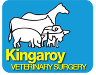 Kingaroy Veterinary Surgery
