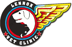 Lennox Head Vet Clinic - Sydney Vets 0