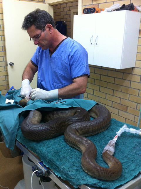 Lennox Head Vet Clinic - Sydney Vets 2