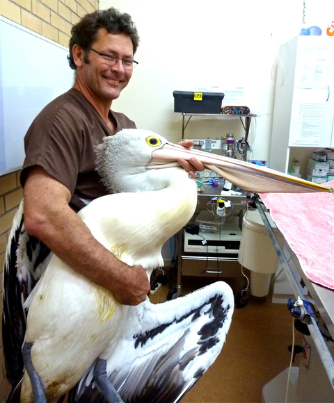 Lennox Head Vet Clinic - Sydney Vets 3