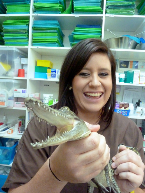 Lennox Head Vet Clinic - Sydney Vets 16