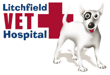 Litchfield Veterinary Hospital - Sydney Vets 0