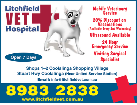 Litchfield Veterinary Hospital - Sydney Vets 3