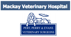 Mackay Veterinary Hospital - Sydney Vets 0