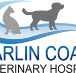 Marlin Coast Veterinary Hospital - Sydney Vets