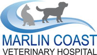 Book Palm Cove Accommodation Vacations Sydney Vets Sydney Vets