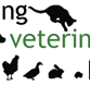 Mittagong Veterinary Hospital - Sydney Vets