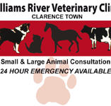 Morpeth Veterinary Hospital - Sydney Vets