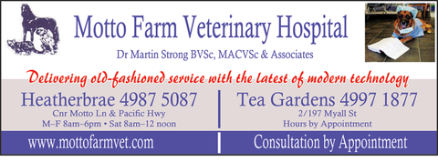 Motto Farm Veterinary Hospital - Sydney Vets 1