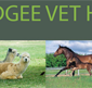 Mudgee Veterinary Hospital - Sydney Vets