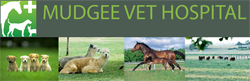 Mudgee Veterinary Hospital - Sydney Vets 0