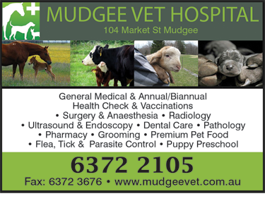 Mudgee Veterinary Hospital - Sydney Vets 1