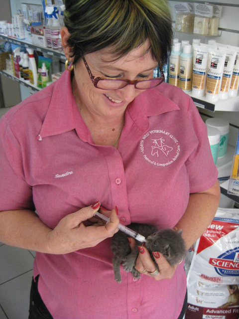 North West Veterinary Clinic - Sydney Vets 5