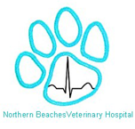Northern Beaches Veterinary Hospital - Sydney Vets