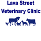 Lava Street Veterinary Clinic - Sydney Vets 0