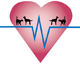Highett Street Veterinary Hospital - Sydney Vets