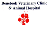 Benetook Veterinary Clinic - Sydney Vets