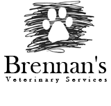 Brennan's Veterinary Services - Sydney Vets