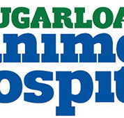 Sugarloaf Animal Hospital - Sydney Vets