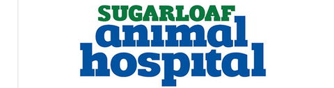 Sugarloaf Animal Hospital - Sydney Vets 0