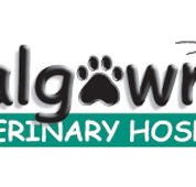 Balgownie Veterinary Hospital - Sydney Vets