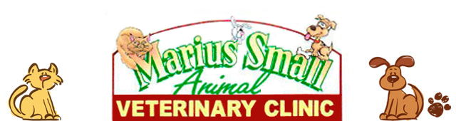 Weabonga NSW Sydney Vets
