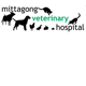 Mittagong Veterinary Hospital - Sydney Vets