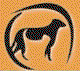 Liverpool Veterinary Hospital - Sydney Vets