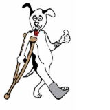 Richmond Veterinary Hospital - Sydney Vets 0