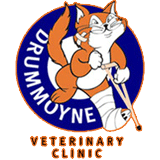 Drummoyne Veterinary Clinic - Sydney Vets