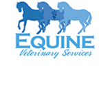 Dr Ed's Equine Veterinary Services - Sydney Vets