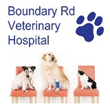 Boundary Road Veterinary Hospital Peakhurst - Sydney Vets