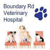 Boundary Road Veterinary Hospital Peakhurst - Sydney Vets 0