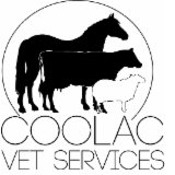 Coolac Veterinary Services - Sydney Vets 0