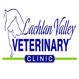 Lachlan Valley Veterinary Clinic - Sydney Vets