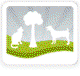 Acacia Animal Care Holistic Vet Herbal Medicine Acupuncture Reiki Homeopathy Structural Balancing Nutrition - Sydney Vets